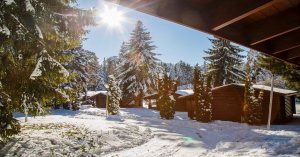 Вилно селище Ягода и Малина, Боровец